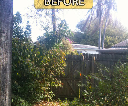 Landscaping Clearing Before, During & After
