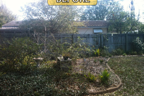 Landscaping Clearing Before, During & After
