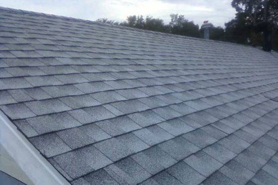 New Roof Tampa